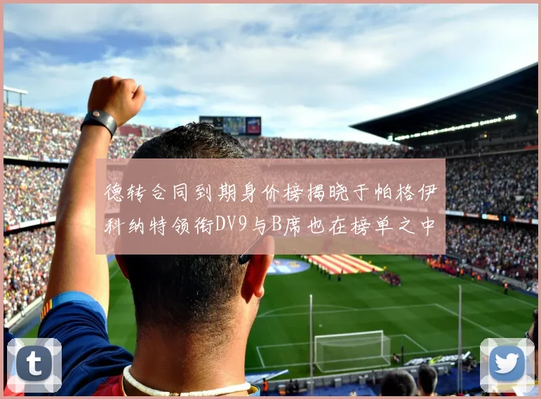 德转合同到期身价榜揭晓于帕格伊科纳特领衔DV9与B席也在榜单之中