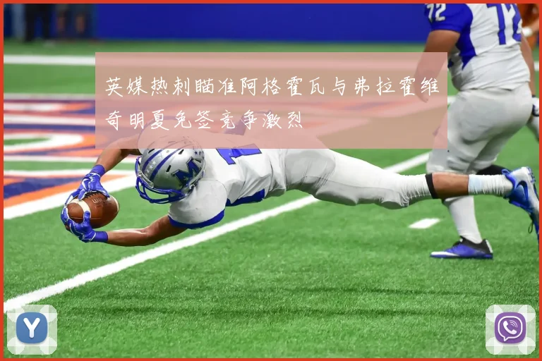 英媒热刺瞄准阿格霍瓦与弗拉霍维奇明夏免签竞争激烈