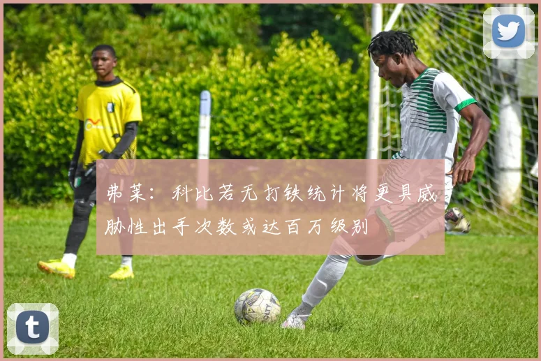 弗莱：科比若无打铁统计将更具威胁性出手次数或达百万级别