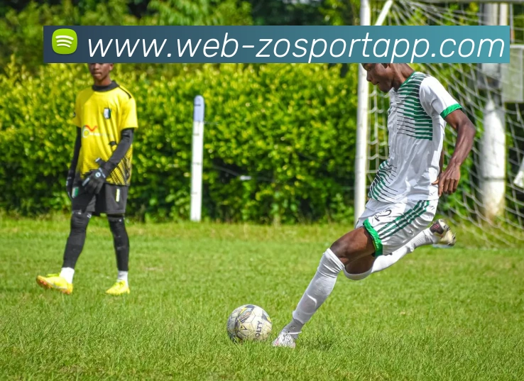 中欧体育平台生态图